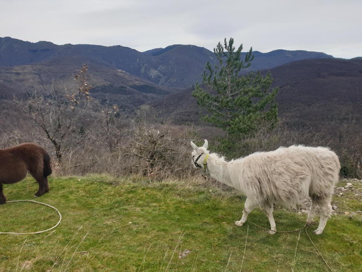 Maison Au Pied Du Parc National Des Cevennes Villa Arre Kültér fotó